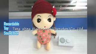 Caja de sonido grabable para peluches