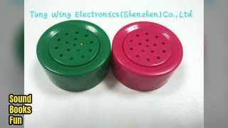 Módulo de sonido Libros para niños Juguete educativo