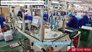 Fabricante profesional de libros sonoros